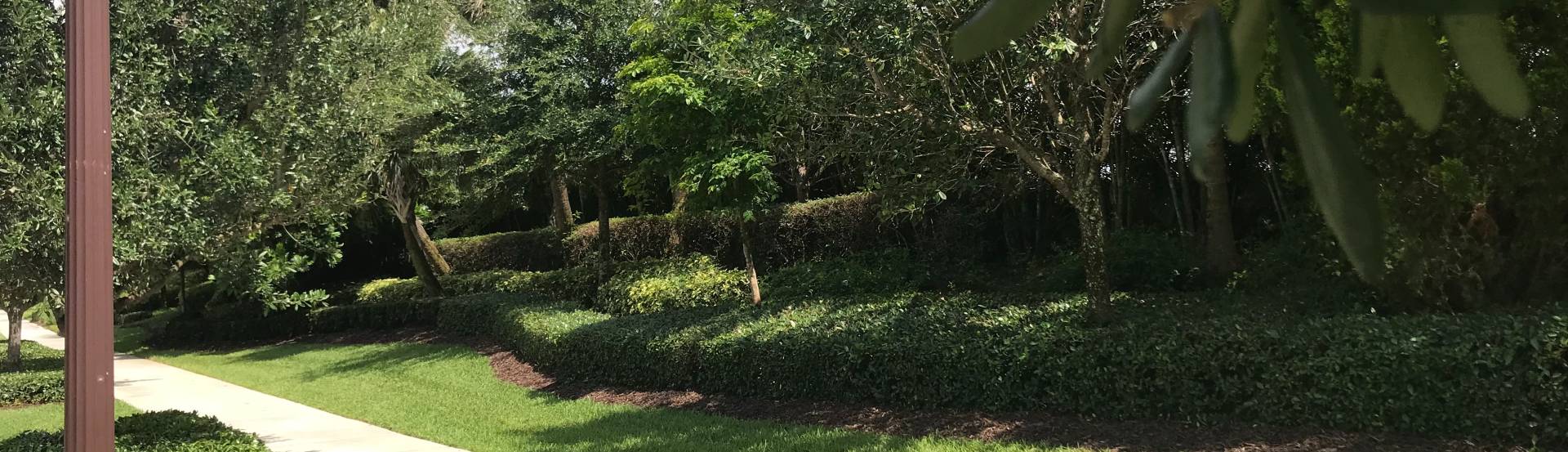 Rubber Mulch For Property Management Landscaping